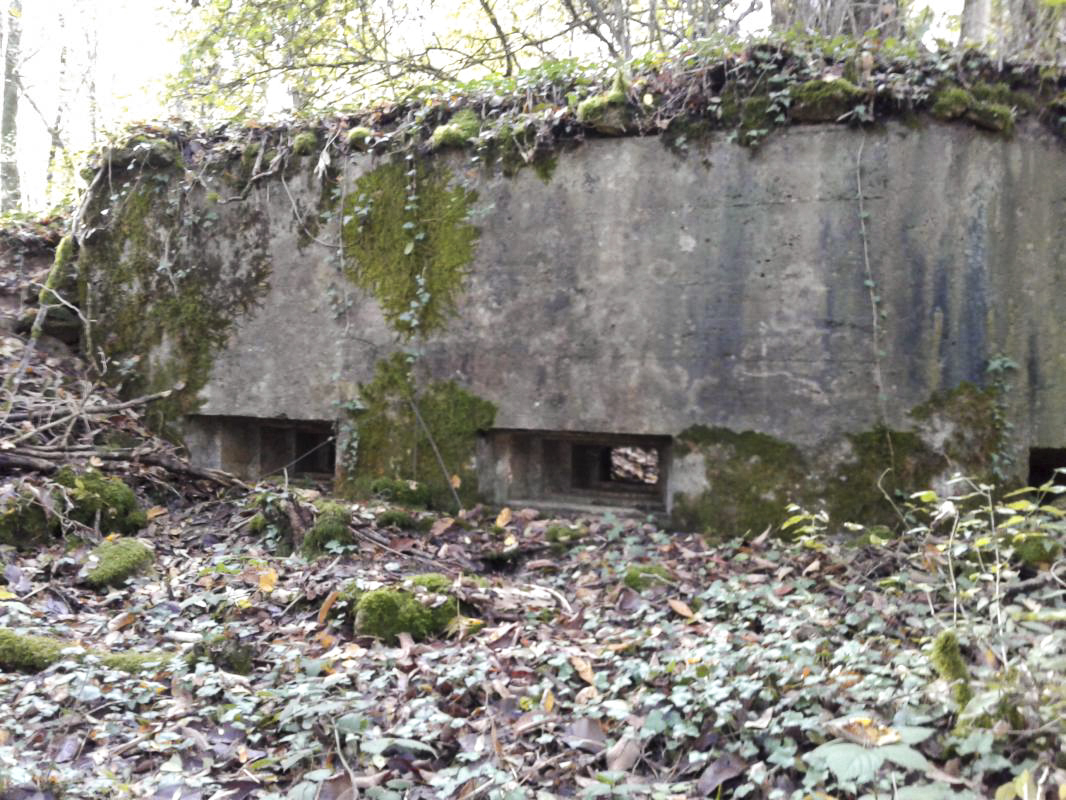 Ligne Maginot - 66BIS - BOIS LE SART CENTRE - (Blockhaus pour arme infanterie) - Vue extérieure des trois créneaux.