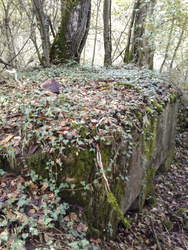 Ligne Maginot - 66BIS - BOIS LE SART CENTRE - (Blockhaus pour arme infanterie) - Couvercle de la cheminée de ventilation de droite
encore en place.