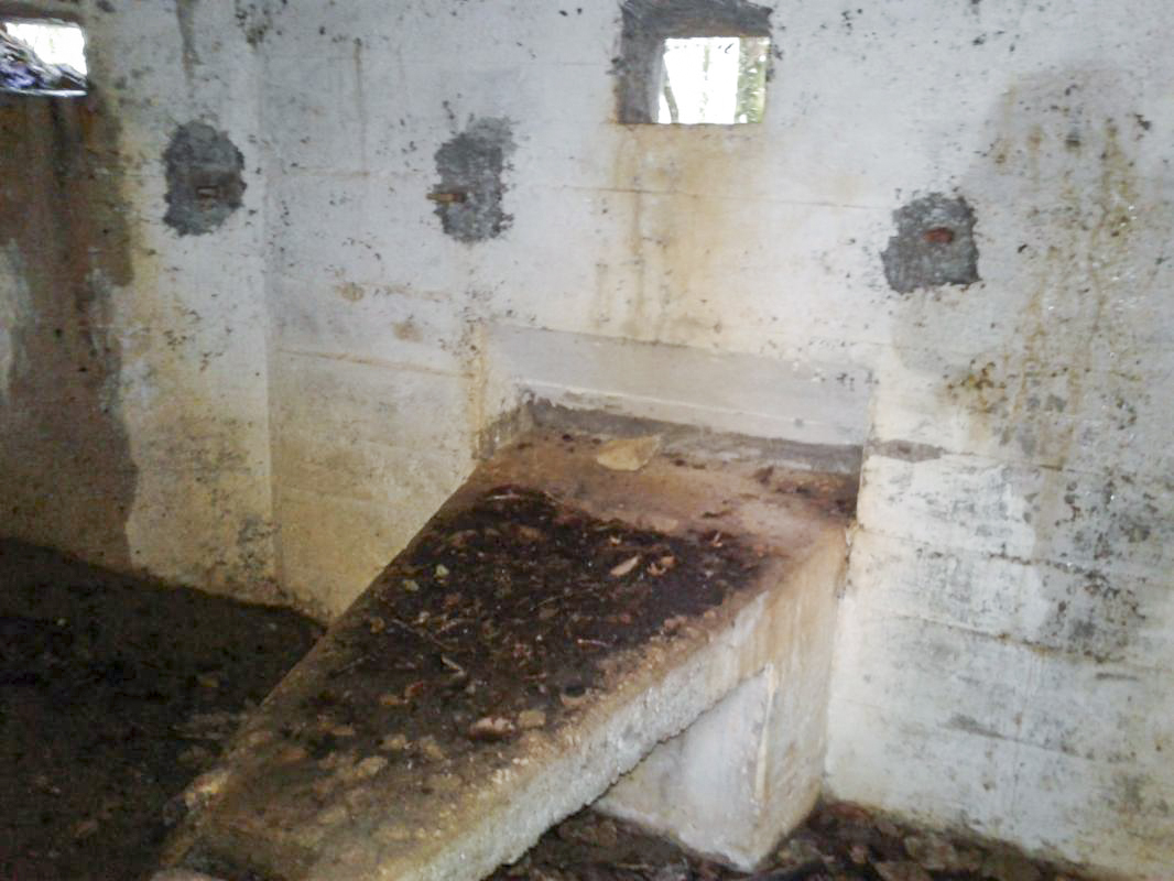 Ligne Maginot - 66BIS - BOIS LE SART CENTRE - (Blockhaus pour arme infanterie) - Intérieur. Créneau central et support pour mitrailleuse.