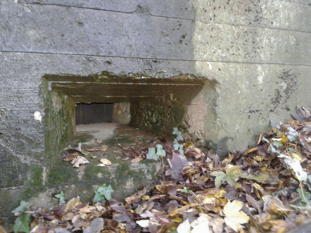 Ligne Maginot - 66TER - BOIS LE SART NORD - (Blockhaus pour arme infanterie) - Créneau pour FM