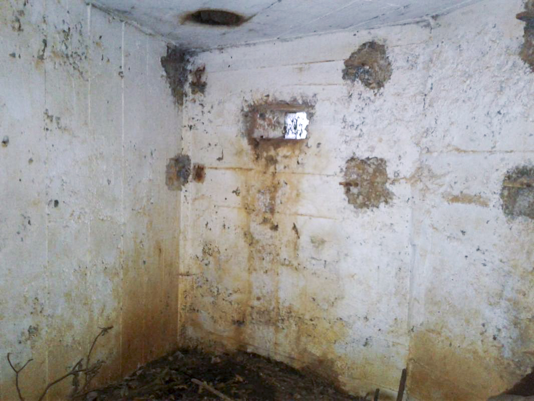 Ligne Maginot - 66TER - BOIS LE SART NORD - (Blockhaus pour arme infanterie) - Intérieur du bloc.
Créneau de gauche (FM).