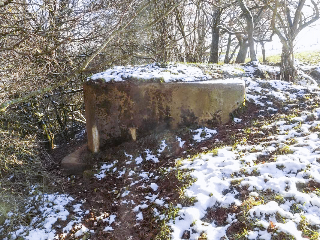 Ligne Maginot - 74BIS - LE GEAI - (Blockhaus pour arme infanterie) - Face gauche