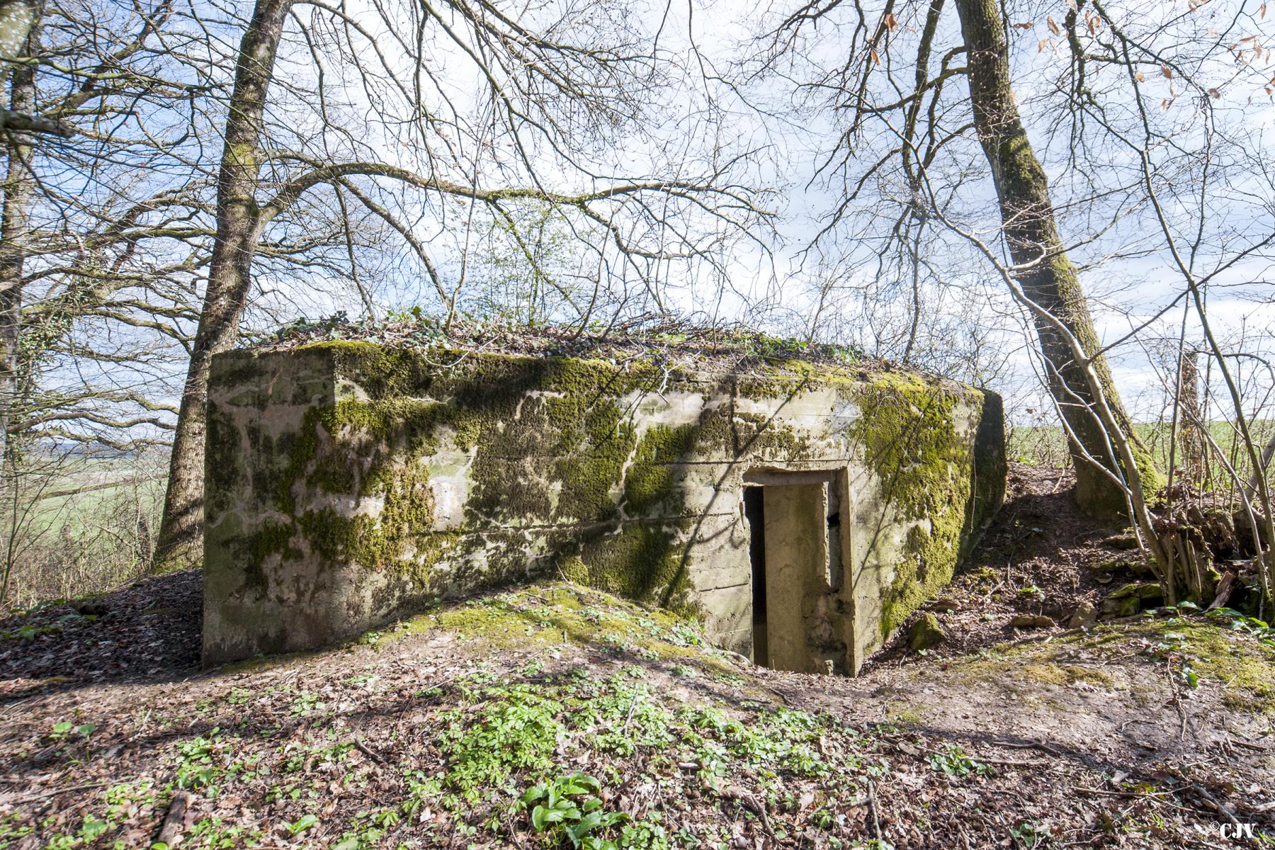 Ligne Maginot - 75 - LE MAMELON EST - (Blockhaus pour arme infanterie) - L'entrée