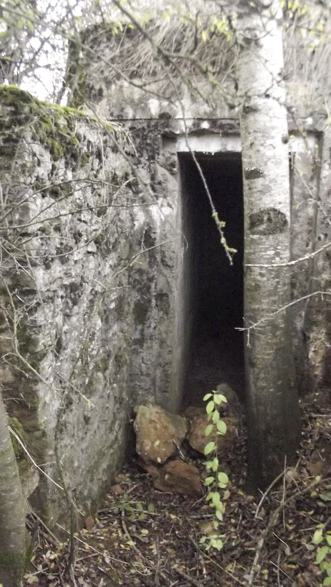 Ligne Maginot - 78 - LA SERPE EST - (Blockhaus pour arme infanterie) - L'entrée  - David HARMAND