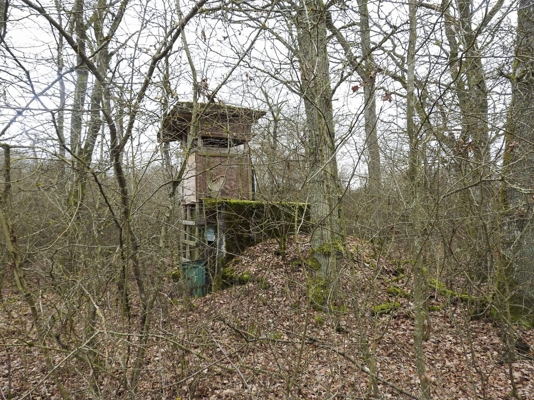 Ligne Maginot - SCHEIDE 3 - (Blockhaus de type indéterminé) - Le blockhaus sert de support à un mirador de chasse. - STENGER Mathieu