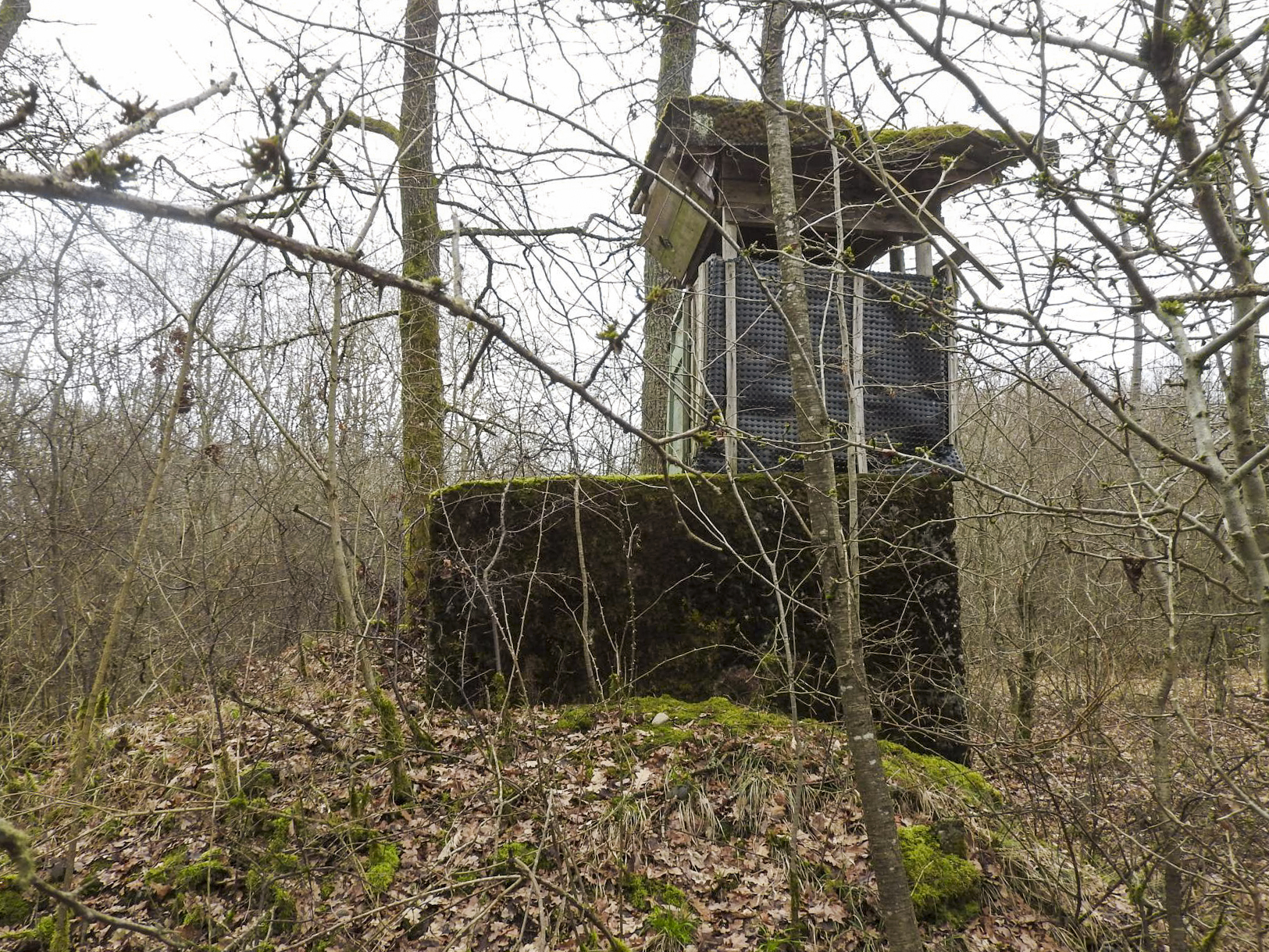 Ligne Maginot - SCHEIDE 3 - (Blockhaus de type indéterminé) -  - STENGER Mathieu