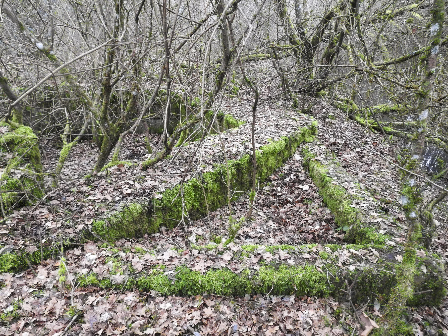 Ligne Maginot - SCHEIDE 2 - (Cuve pour canon) - Une section triangulaire à l'avant de la cuve. - STENGER Mathieu