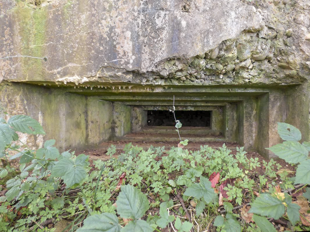Ligne Maginot - 78BIS - LE TERME - (Blockhaus pour arme infanterie) -  - JMBrams