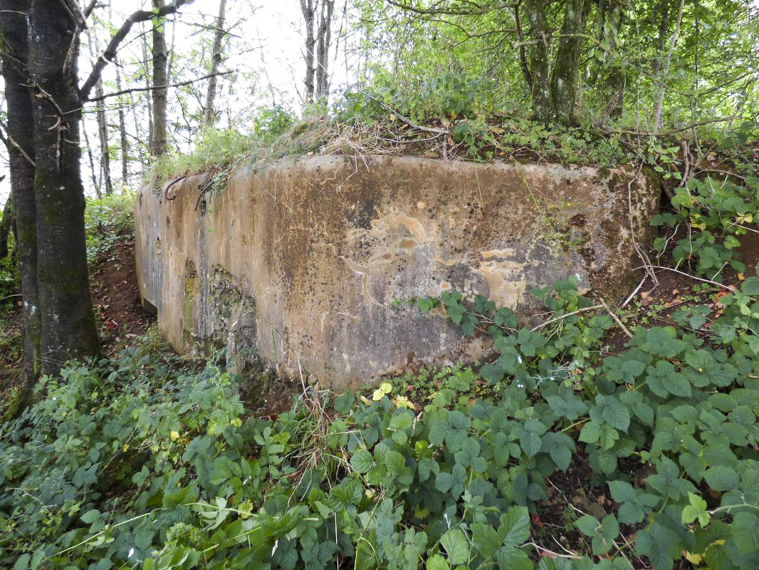 Ligne Maginot - 78BIS - LE TERME - (Blockhaus pour arme infanterie) - 