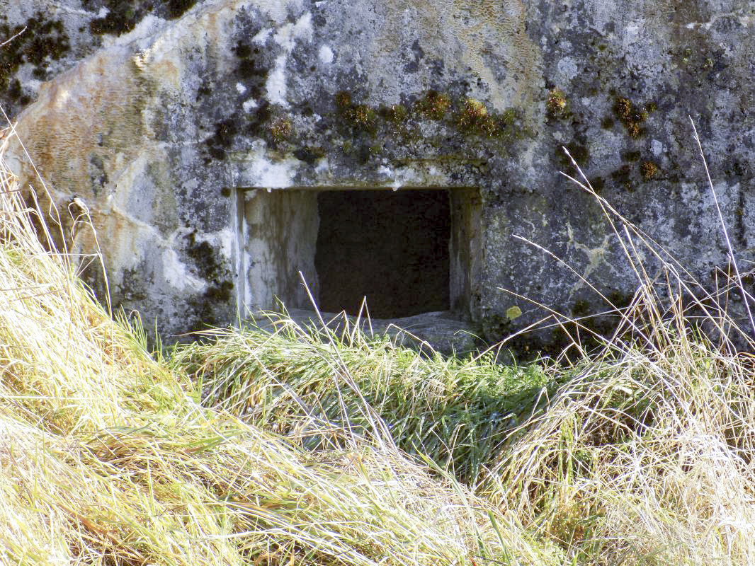 Ligne Maginot - 82 - BOIS DORVILLE EST - (Blockhaus pour arme infanterie) - Face frontale, créneau droite