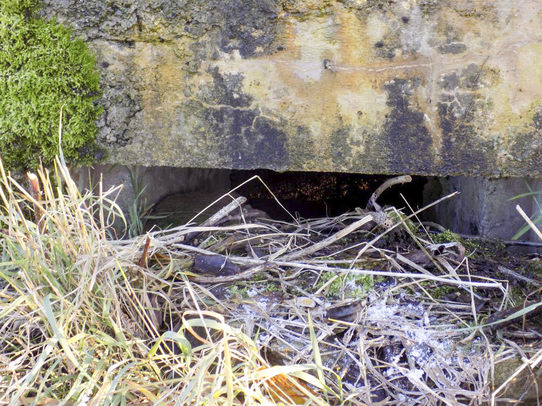Ligne Maginot - B78TER - LA SERPE OUEST - (Blockhaus pour arme infanterie) - Face frontale, créneau droite - R Tucker