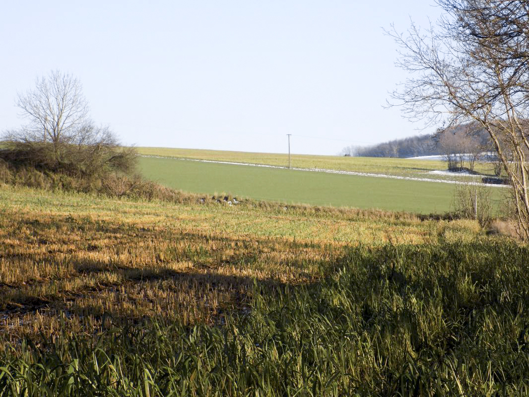 Ligne Maginot - B78TER - LA SERPE OUEST - (Blockhaus pour arme infanterie) - Vue vers l'est: Bloc B78 à gauche, bloc B77 à droite et au milieu sur l'horizon cloche de bloc 4 Le Chenois.