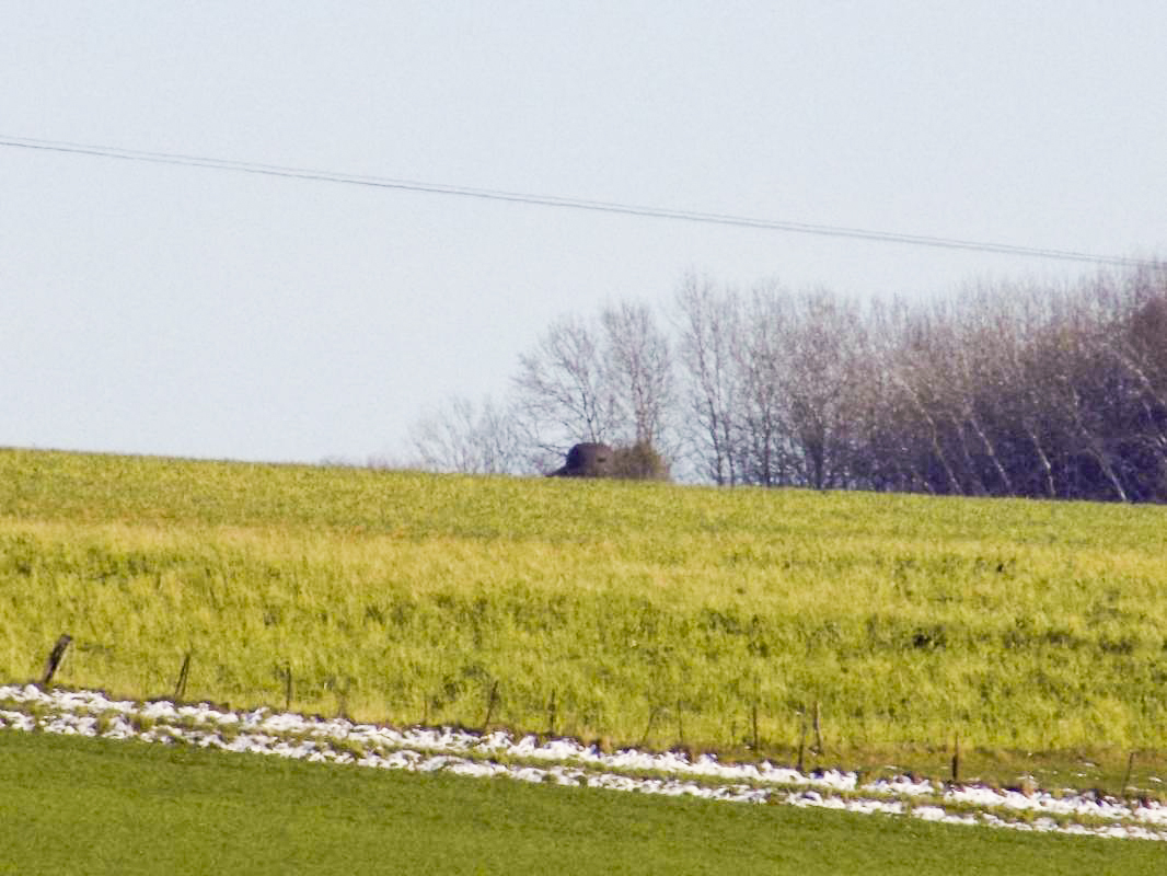 Ligne Maginot - B78TER - LA SERPE OUEST - (Blockhaus pour arme infanterie) - Vue vers l'est: Cloche de bloc 4 Le Chenois.