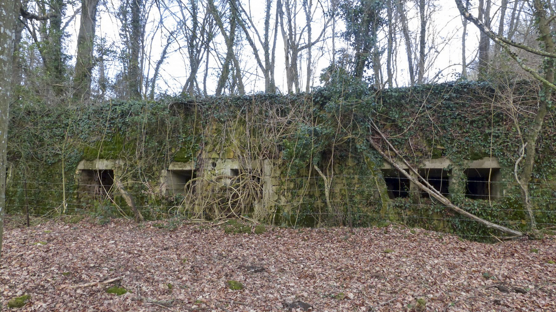 Ligne Maginot - BOIS DES ROCHES (3° DIC) - (PC) - 