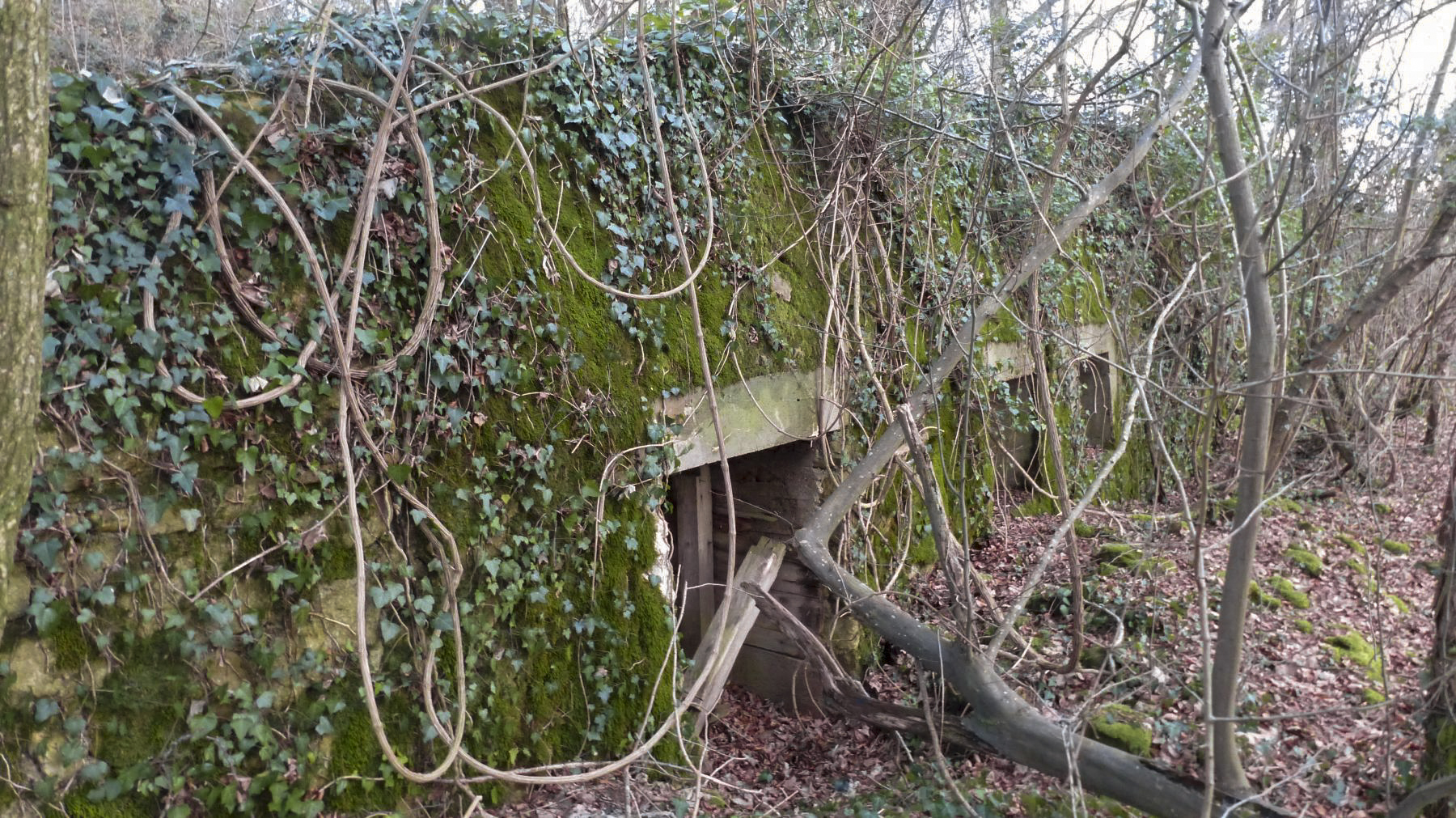 Ligne Maginot - BOIS DES ROCHES (3° DIC) - (PC) - L'une des trois entrées. Epaisseur du mur en façade 1,20 mètres environ