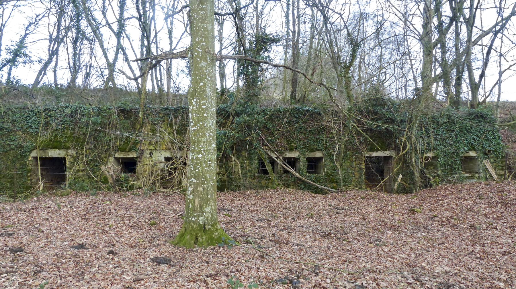 Ligne Maginot - BOIS DES ROCHES (3° DIC) - (PC) - 