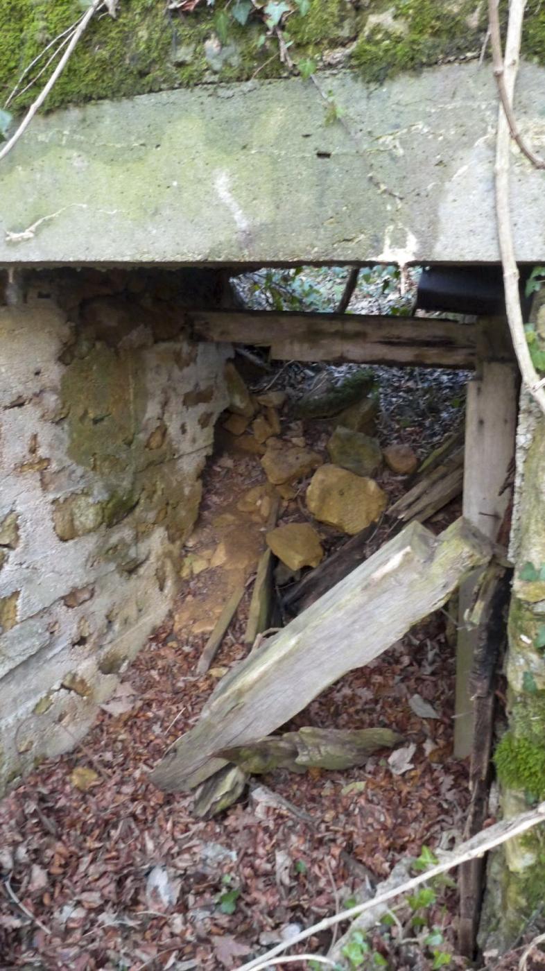 Ligne Maginot - BOIS DES ROCHES (3° DIC) - (PC) - 