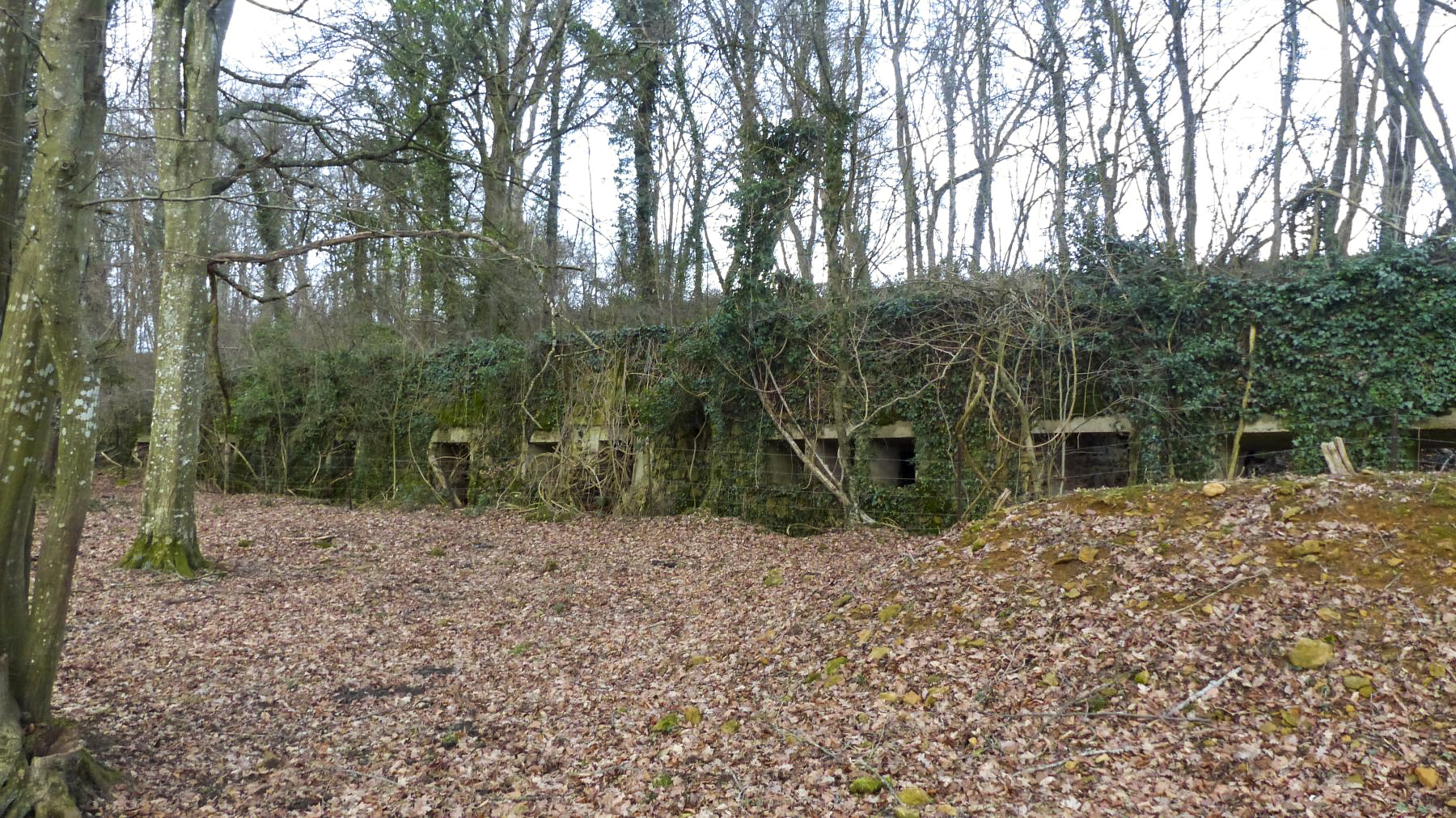 Ligne Maginot - BOIS DES ROCHES (3° DIC) - (PC) - 