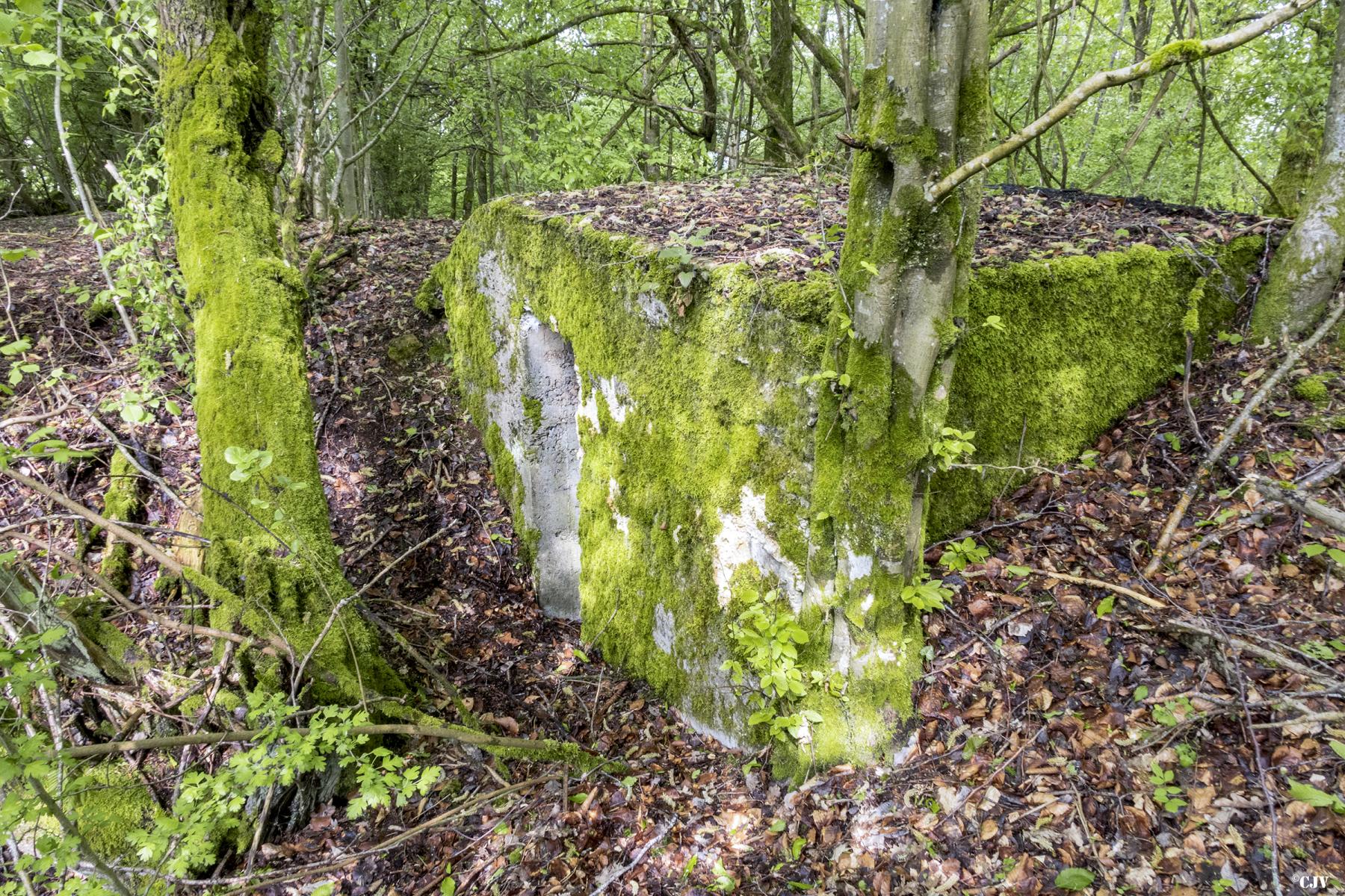 Ligne Maginot - BOIS DE VILLÉCLOYE 1 - (Observatoire d'artillerie) -            