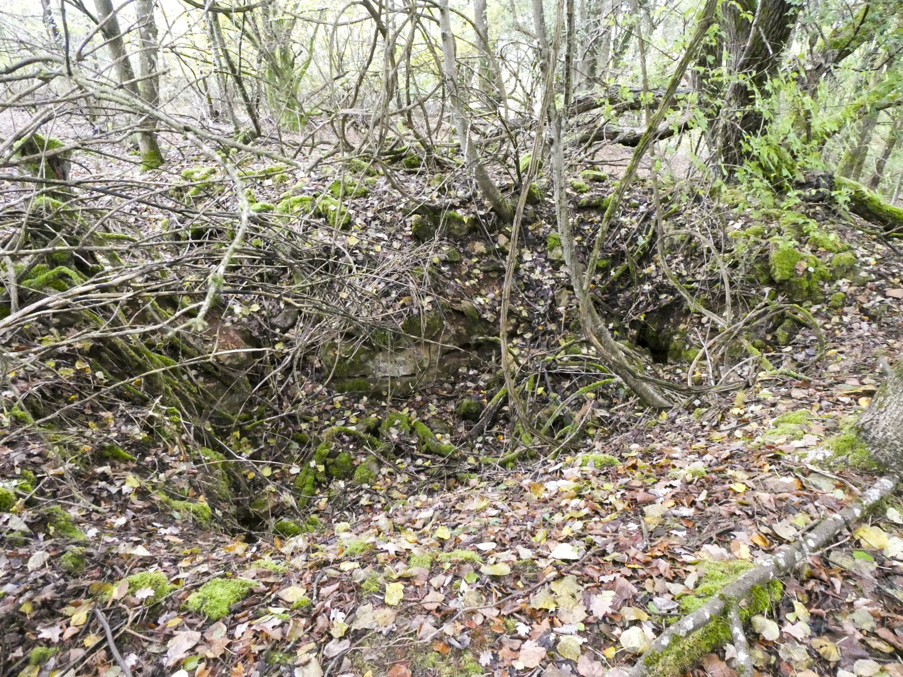 Ligne Maginot - BOIS DE VILLÉCLOYE 1 - (Observatoire d'artillerie) - Cuve à proximité