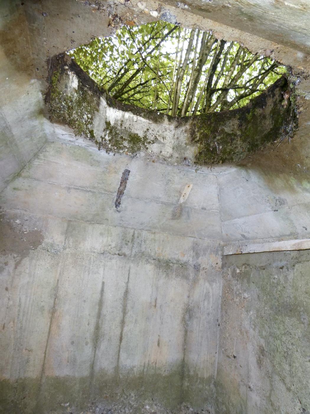 Ligne Maginot - BOIS DE VILLÉCLOYE 2 - (Observatoire d'infanterie) -  - ELLENA - CUNY