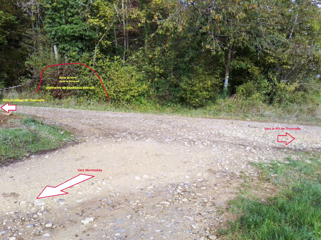 Ligne Maginot - BOIS MAROTTE SUD - (Blockhaus de type indeterminé) - Vue de l'intersection proche du blockhaus.