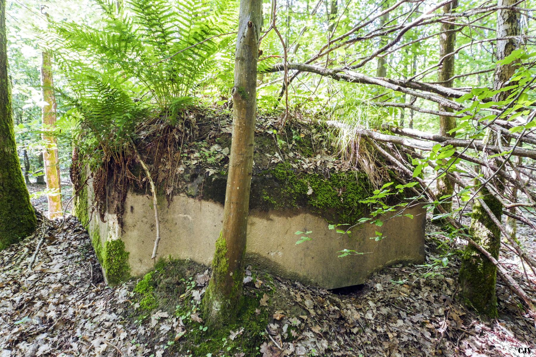 Ligne Maginot - SCHEIDWALD 9 - (Blockhaus pour arme infanterie) -                  