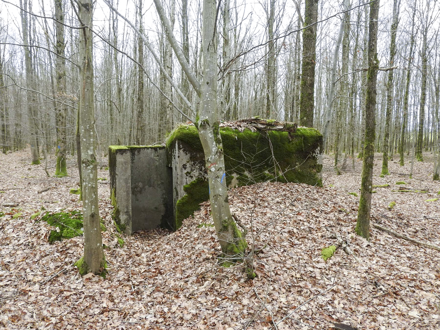 Ligne Maginot - SCHEIDWALD 9 - (Blockhaus pour arme infanterie) - La façade arrière et l'entrée. - STENGER Mathieu