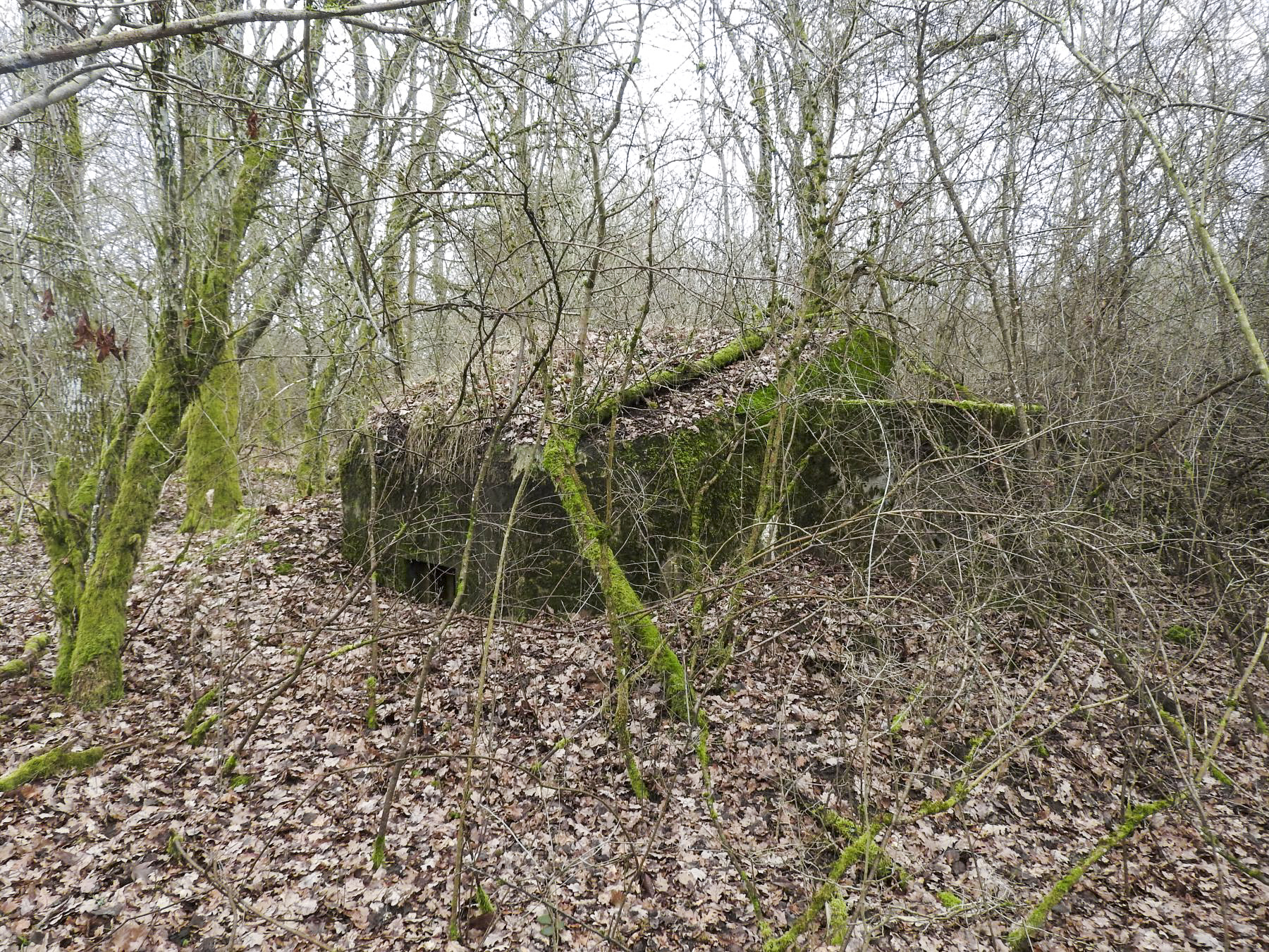 Ligne Maginot - SCHEIDE 4 - (Blockhaus pour arme infanterie) - La façade de tir vers le nord. - STENGER Mathieu