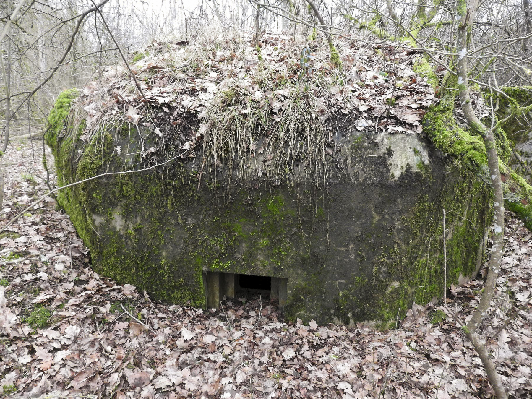 Ligne Maginot - SCHEIDE 4 - (Blockhaus pour arme infanterie) - La façade de tir vers le nord. - STENGER Mathieu