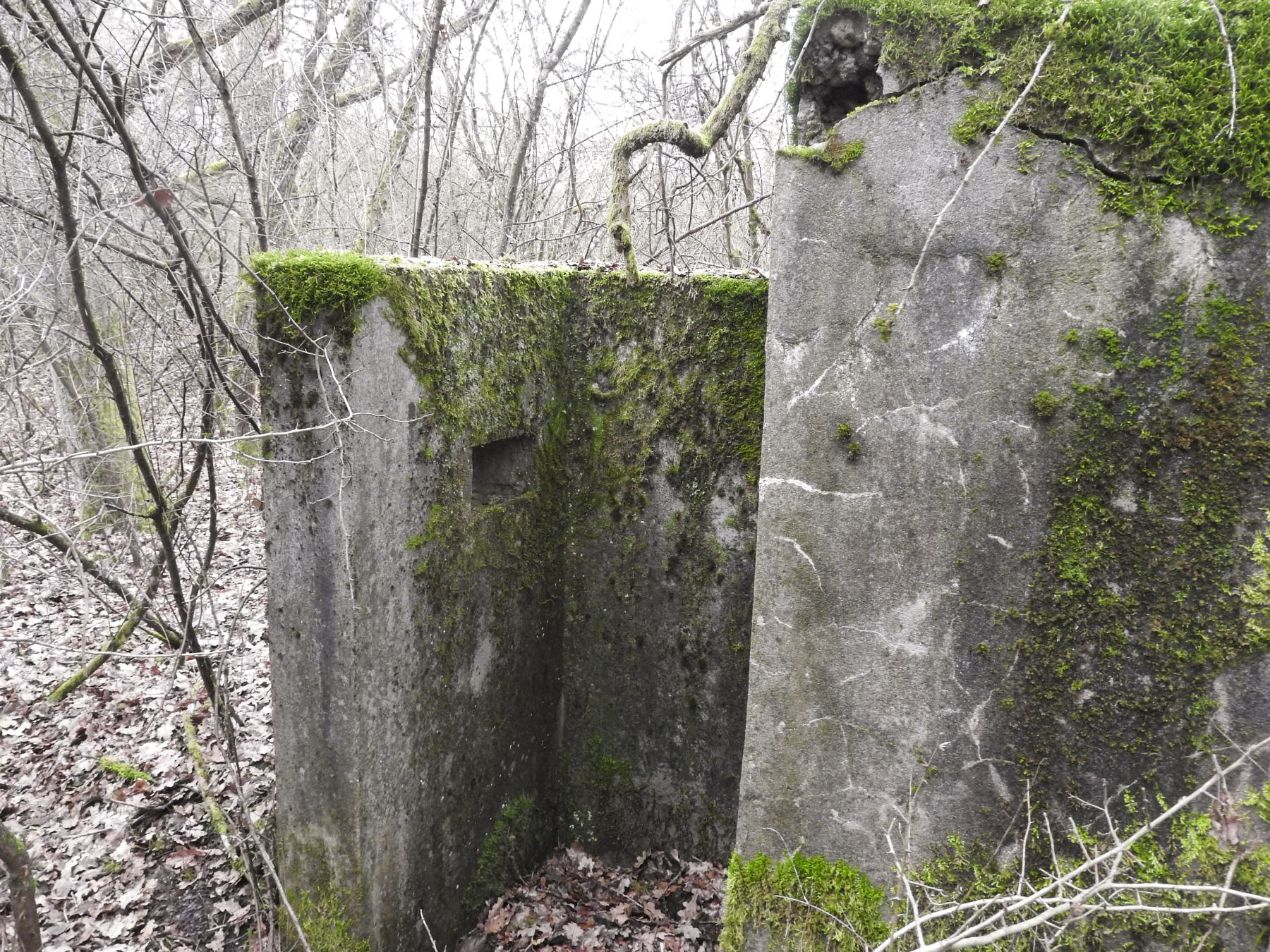 Ligne Maginot - SCHEIDE 4 - (Blockhaus pour arme infanterie) - L'entrée du blockhaus. - STENGER Mathieu