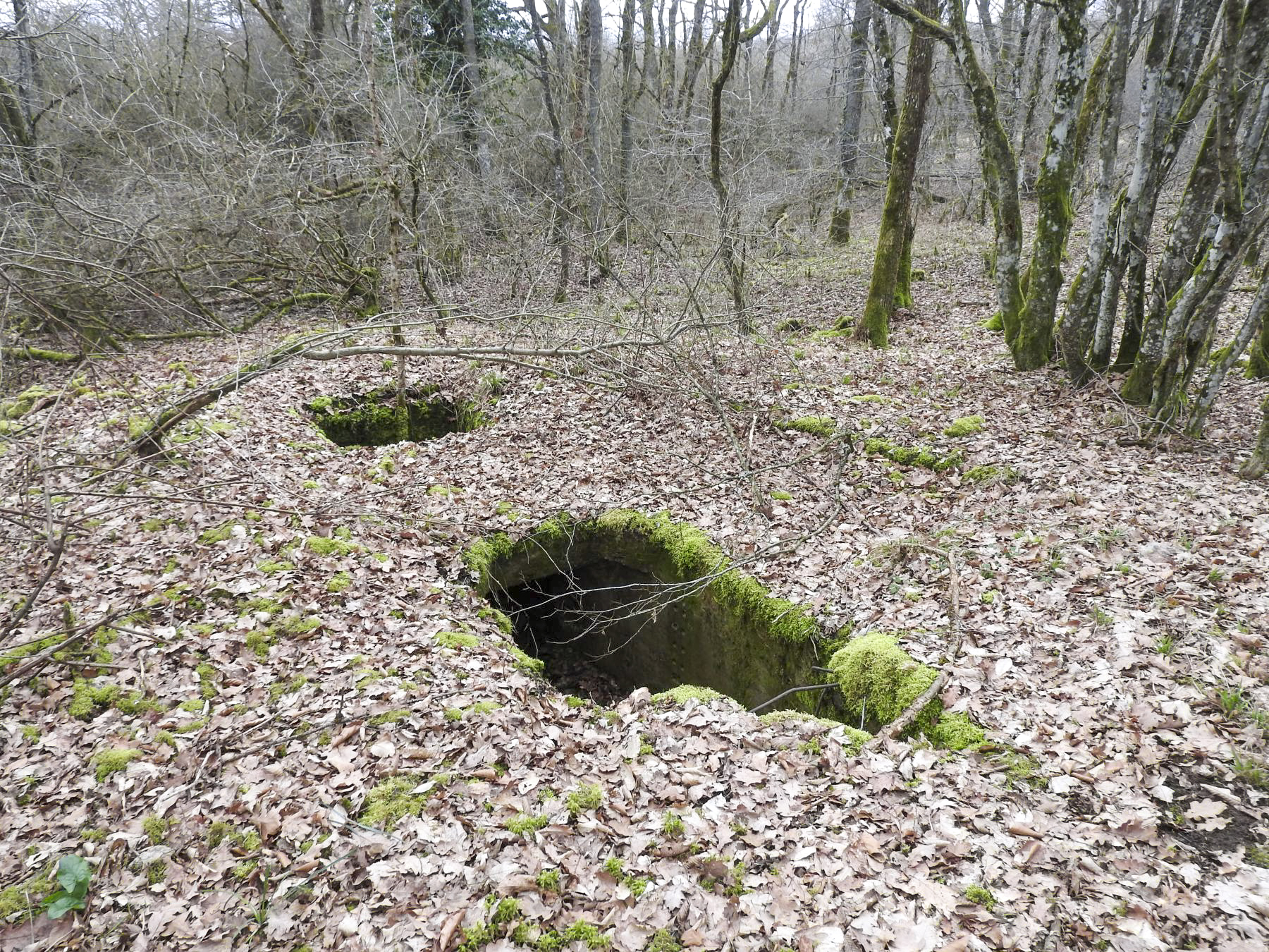 Ligne Maginot - SCHEIDE 5 - (Blockhaus pour arme infanterie) - Le blockhaus avec l'emplacement pour un char FT17. - STENGER Mathieu