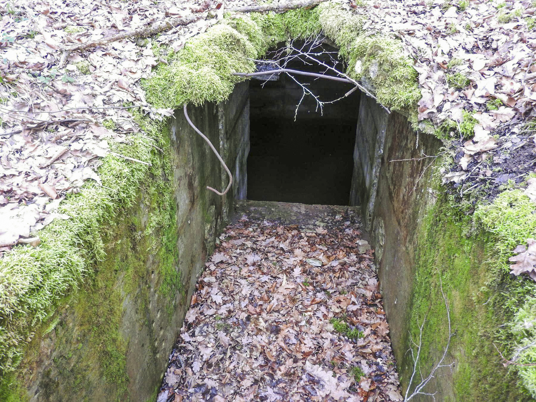 Ligne Maginot - SCHEIDE 5 - (Blockhaus pour arme infanterie) - L'emplacement de la carcasse du char FT17. - STENGER Mathieu