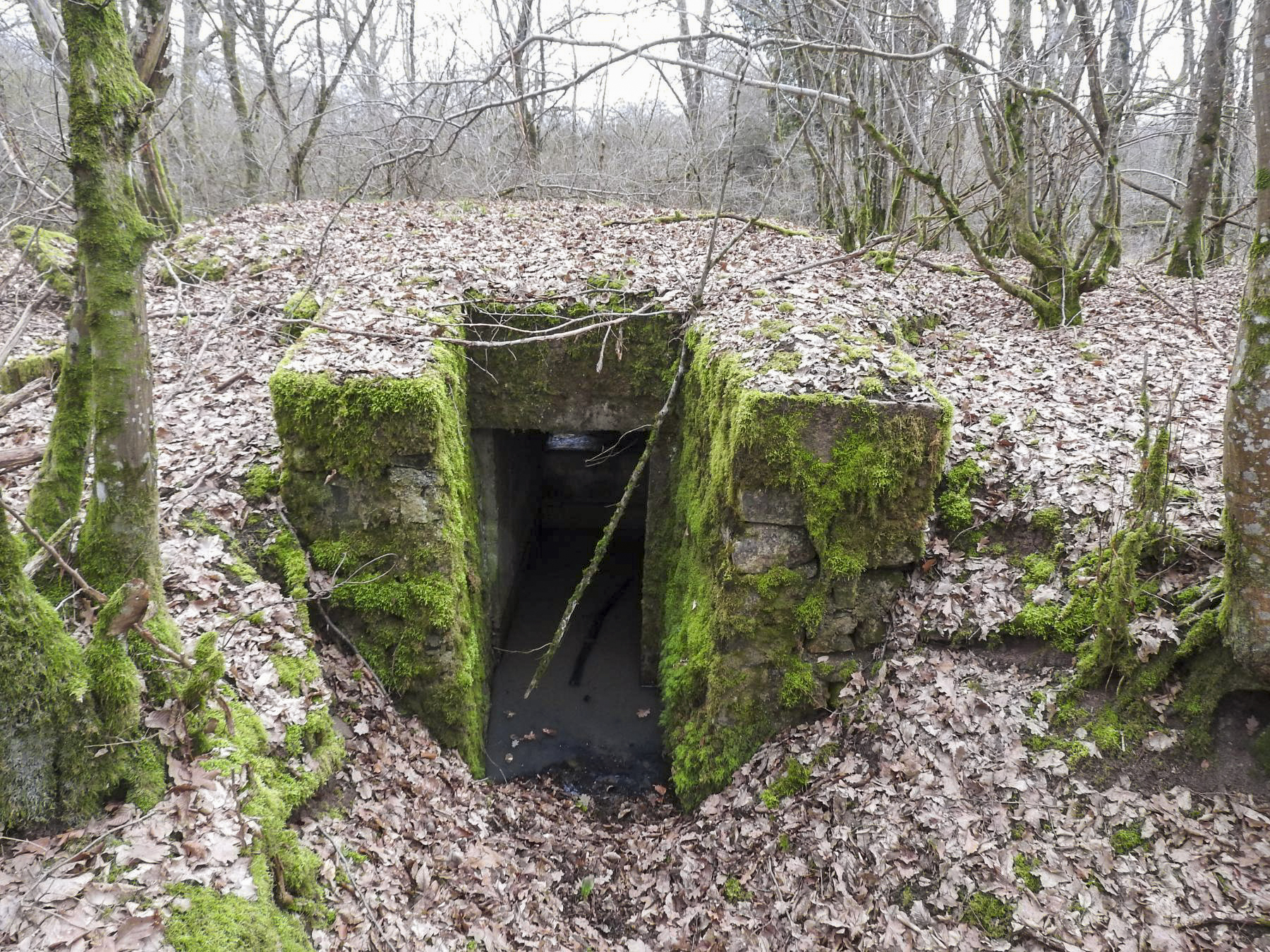 Ligne Maginot - SCHEIDE 5 - (Blockhaus pour arme infanterie) - L'entrée du blockhaus. - STENGER Mathieu