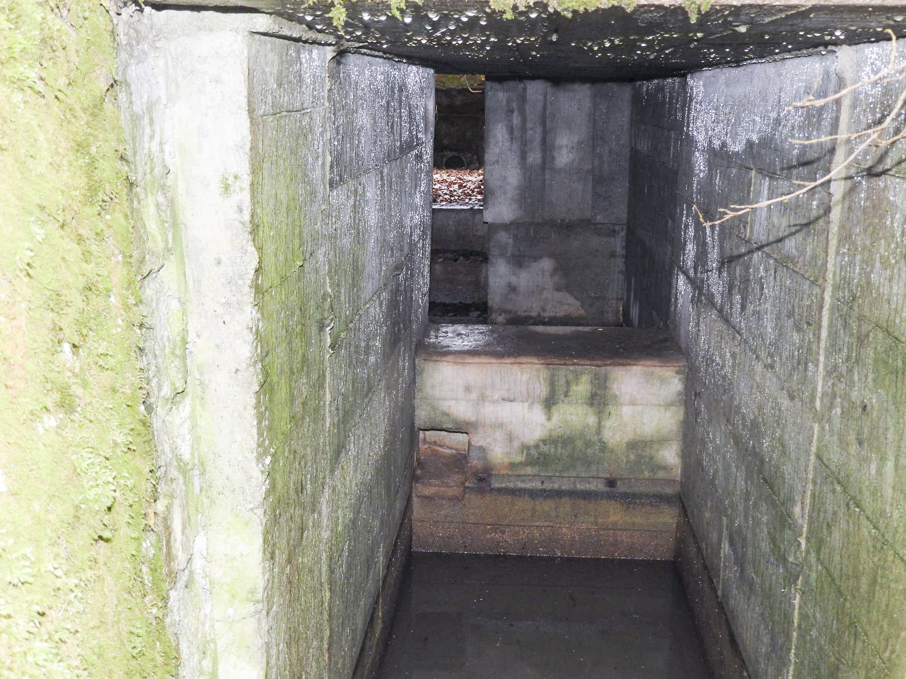 Ligne Maginot - SCHEIDE 5 - (Blockhaus pour arme infanterie) - L'entrée, l'abri inondé puis à l'arrière l'emplacement du FT17. - STENGER Mathieu