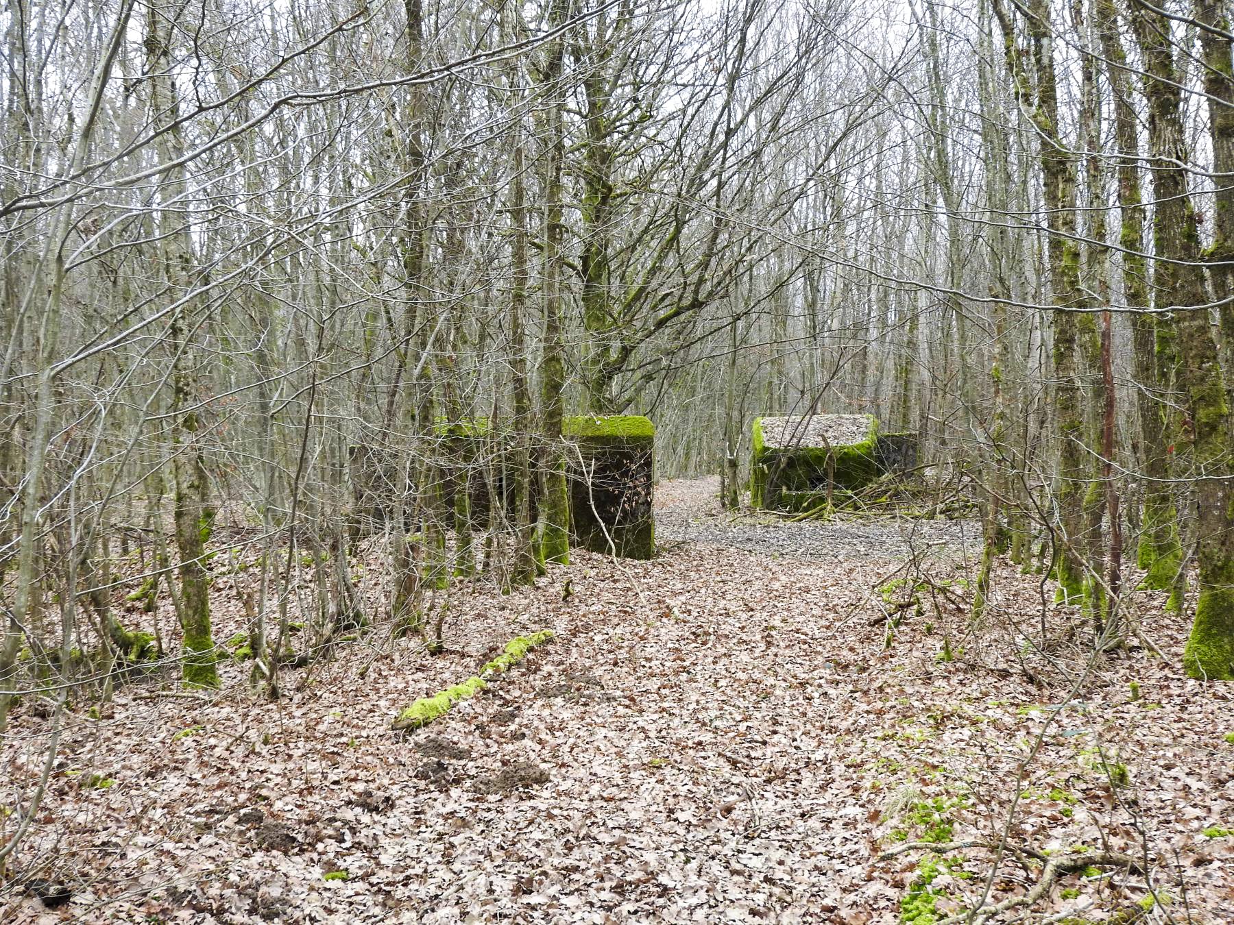 Ligne Maginot - SCHEIDWALD 1 - (Blockhaus pour arme infanterie) - Le blockhaus 1 à l'avant et le 2 derrière. - STENGER Mathieu