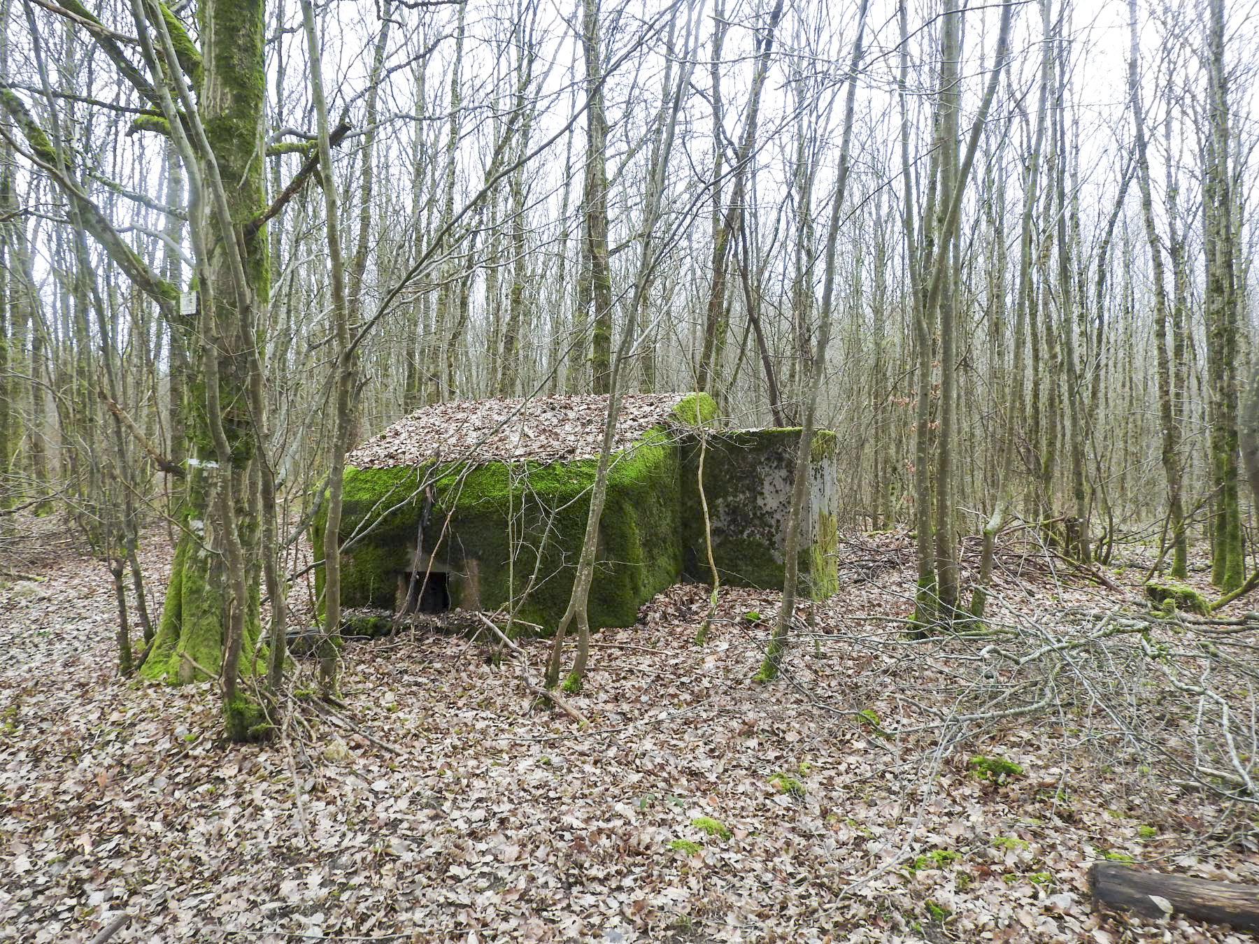 Ligne Maginot - SCHEIDWALD 1 - (Blockhaus pour arme infanterie) - La façade de tir et le créneau principal. - STENGER Mathieu
