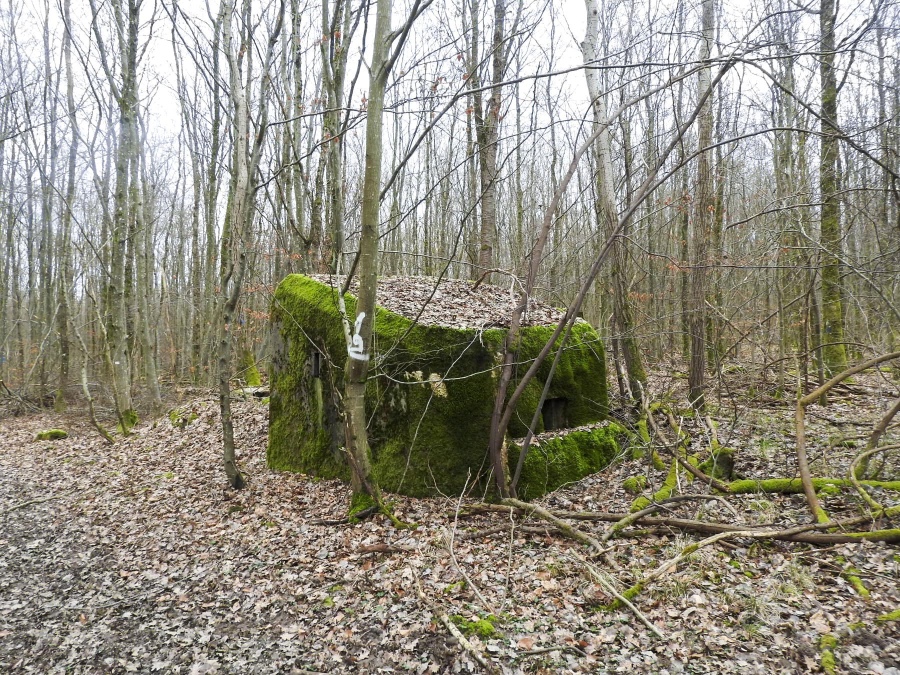 Ligne Maginot - SCHEIDWALD 2 - (Blockhaus pour arme infanterie) - La façade de tir et le créneau principal. - STENGER Mathieu