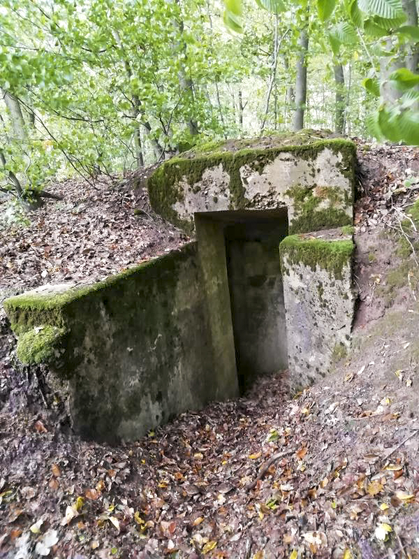 Ligne Maginot - GROSSBUCH 2 - (Abri) - Entrée Est