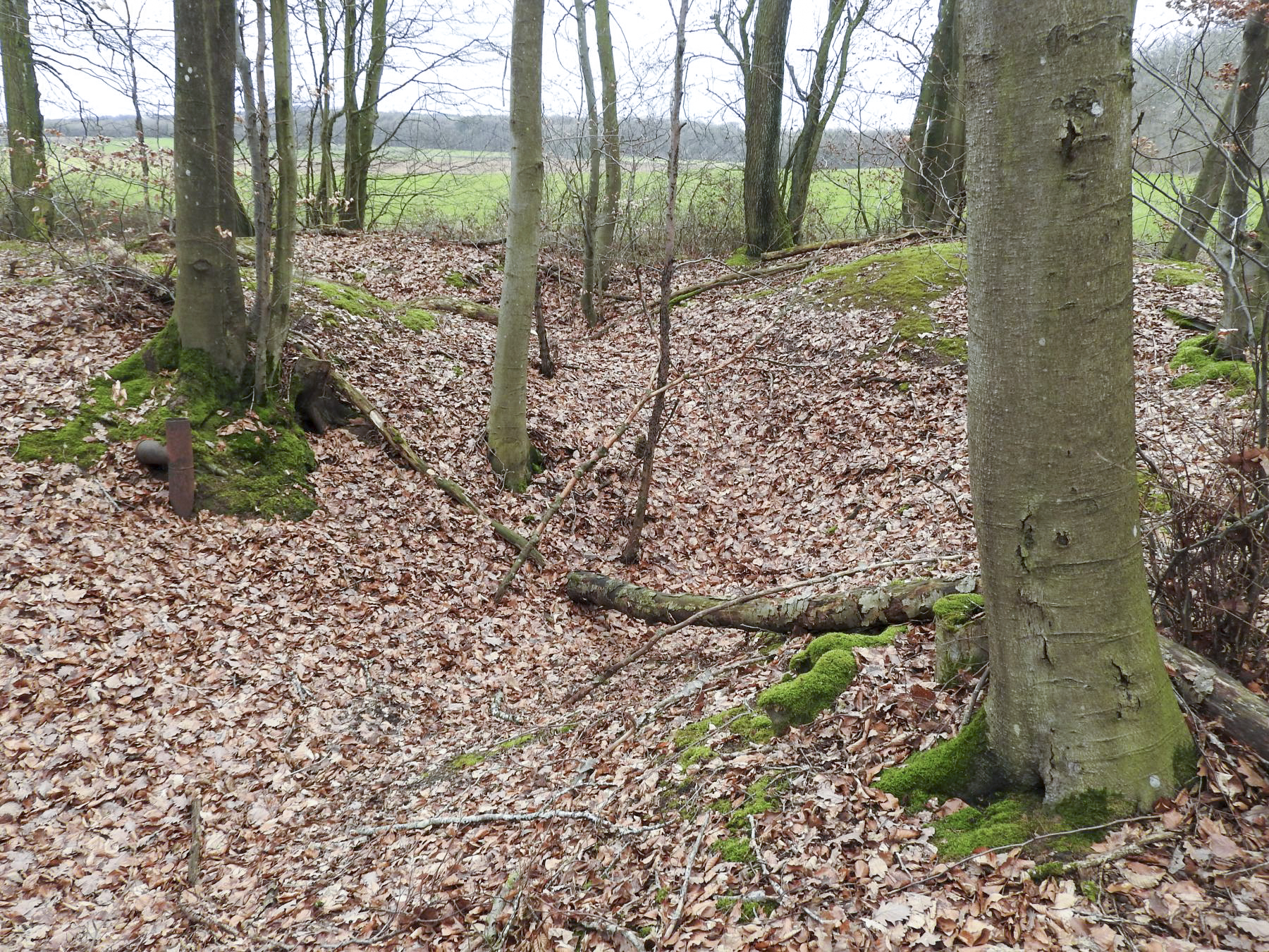 Ligne Maginot - GROSSBUCH (III/82° RMIF - QUARTIER VIEUX-BOIS) - (PC de Quartier) - Les restes d'une cagna ? - STENGER Mathieu