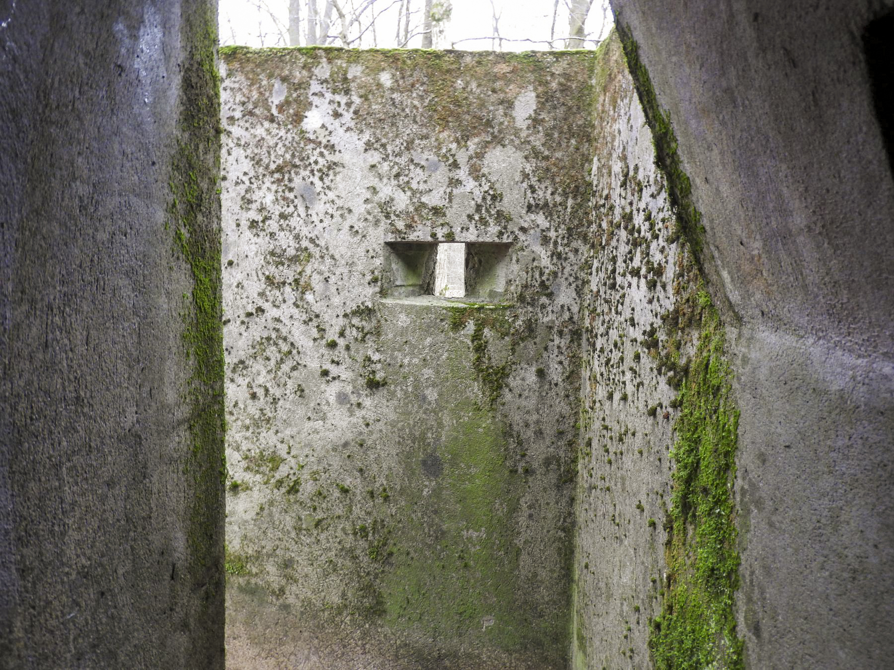 Ligne Maginot - SCHEIDWALD 7 - (Blockhaus pour arme infanterie) - Le petite courette de l'entrée et son créneau de tir. - STENGER Mathieu