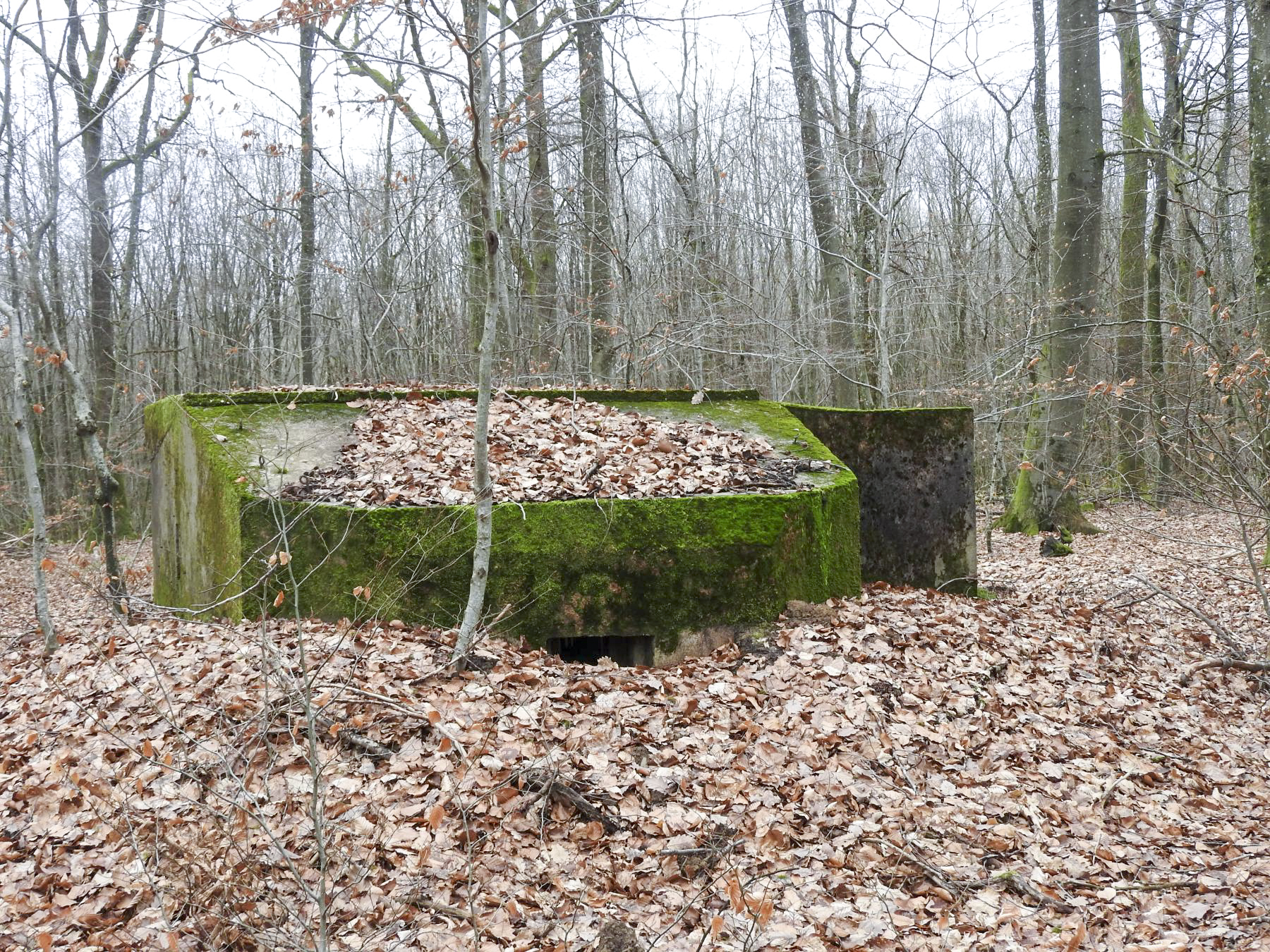 Ligne Maginot - SCHEIDWALD 7 - (Blockhaus pour arme infanterie) - La façade de tir. - STENGER Mathieu