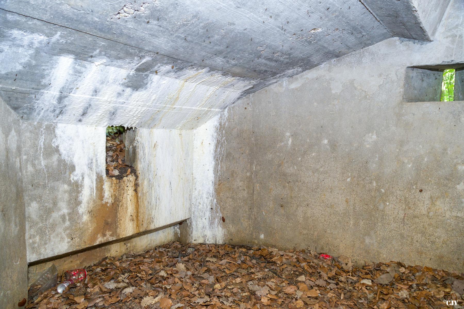 Ligne Maginot - SCHEIDWALD 7 - (Blockhaus pour arme infanterie) -                          