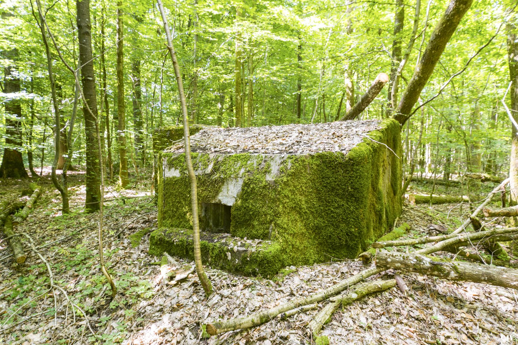 Ligne Maginot - SCHEIDWALD 4 - (Blockhaus pour arme infanterie) - 
