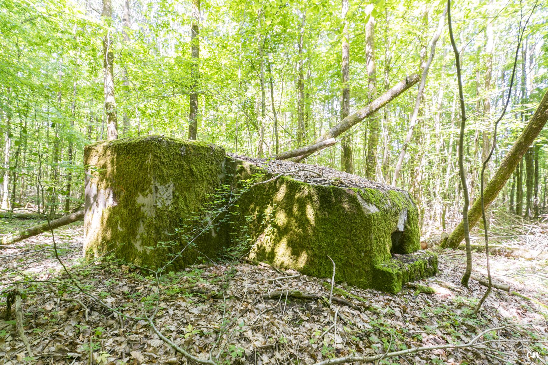 Ligne Maginot - SCHEIDWALD 4 - (Blockhaus pour arme infanterie) - 