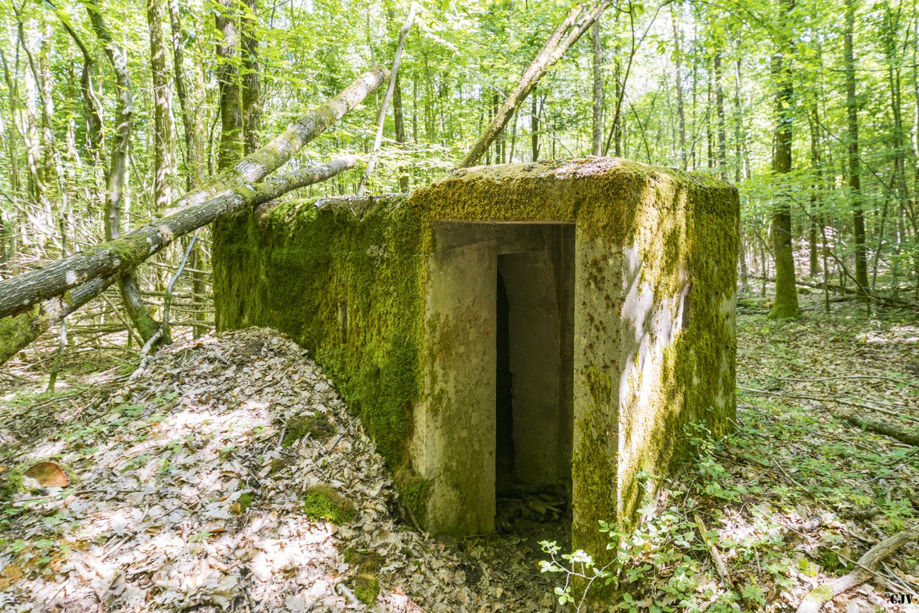 Ligne Maginot - SCHEIDWALD 4 - (Blockhaus pour arme infanterie) - 