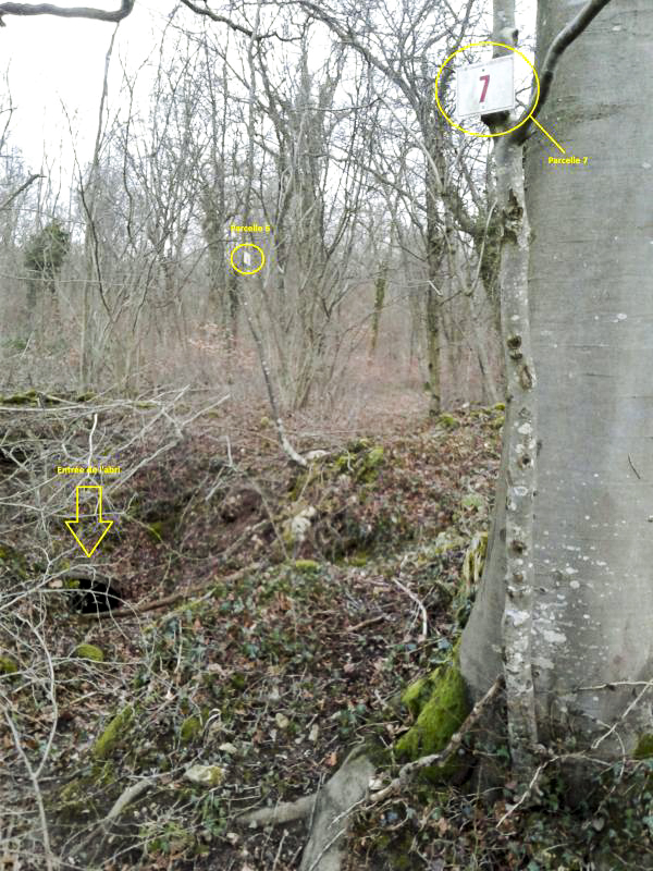 Ligne Maginot - BRONELLE NORD - (Abri) - L'abri se situe à l'extrémité du layon séparant les parcelles 6 et 7