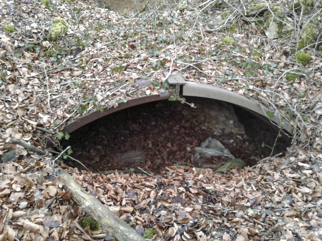 Ligne Maginot - BRONELLE NORD - (Abri) - L'entrée 