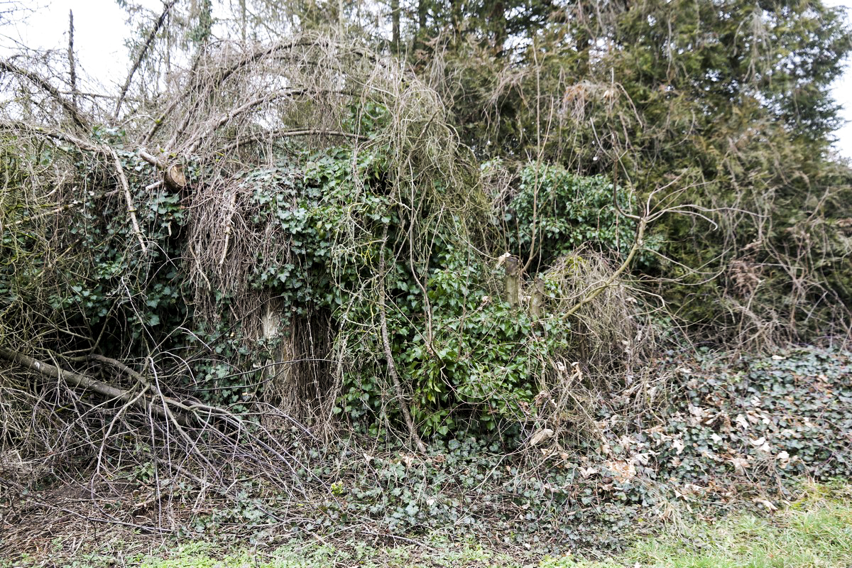 Ligne Maginot - WEIDESHEIM 4 - (Blockhaus pour arme infanterie) -  - Alain Perouffe