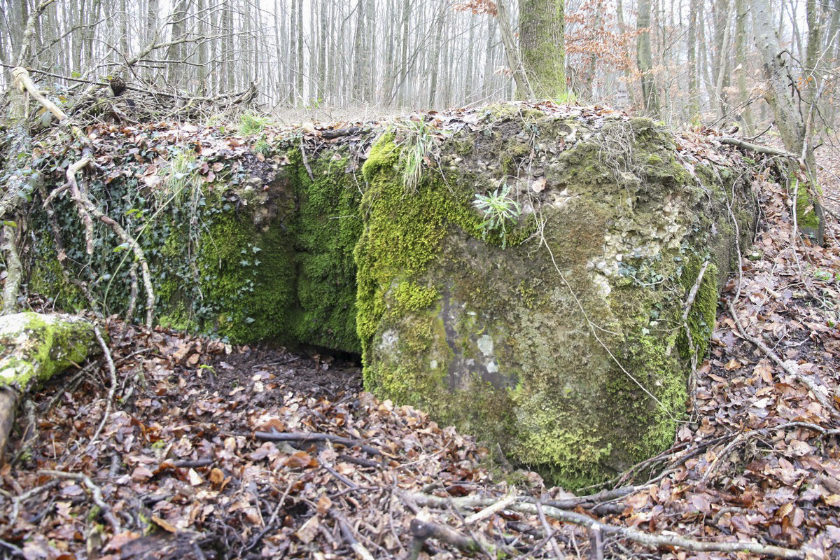 Ligne Maginot - STEINBRUEHL - (Blockhaus pour arme infanterie) - Petit bloc mitrailleuse, construction 'bricolage' - Alain Perouffe